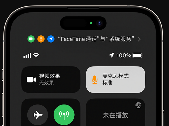 信州苹果授权维修网点分享iPhone在通话时让你的声音更清晰 