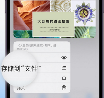 信州apple维修中心分享iPhone文件应用中存储和找到下载文件