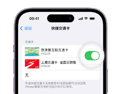 信州apple维修点分享iPhone上更换Apple Pay快捷交通卡手绘卡面 