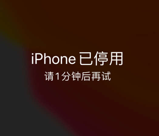 信州苹果手机维修分享:iPhone 显示“不可用”或“已停用”怎么办？还能保留数据吗？ 