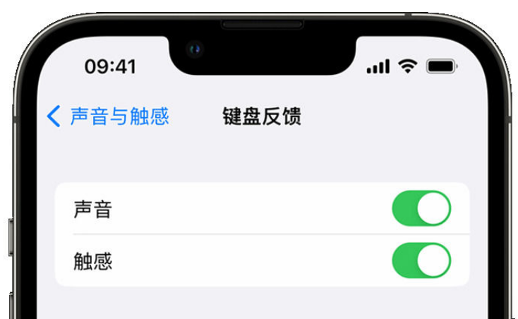 信州苹果手机维修分享iPhone 14触感键盘使用方法 