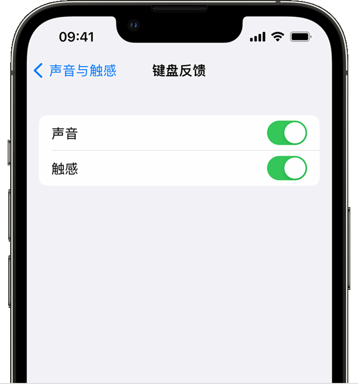 信州苹果14维修店分享如何在 iPhone 14 机型中使用触感键盘 