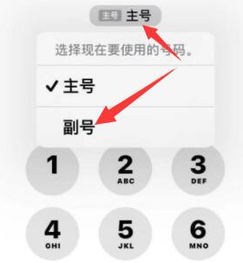 信州苹果14维修店分享iPhone 14 Pro Max使用副卡打电话的方法 