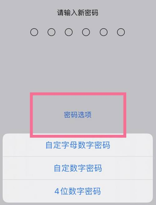 信州苹果14维修分享iPhone 14plus设置密码的方法 