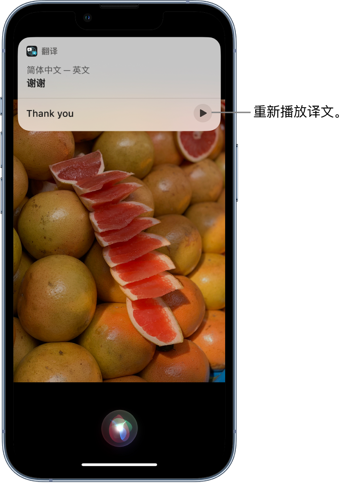 信州苹果14维修分享 iPhone 14 机型中使用 Siri：了解 Siri 能帮你做什么 