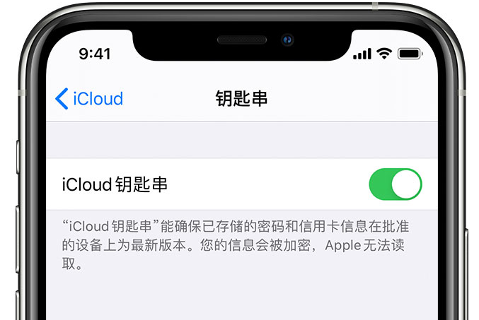 信州苹果手机维修分享在 iPhone 上开启 iCloud 钥匙串之后会储存哪些信息 