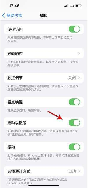 信州苹果手机维修分享iPhone手机如何设置摇一摇删除文字 