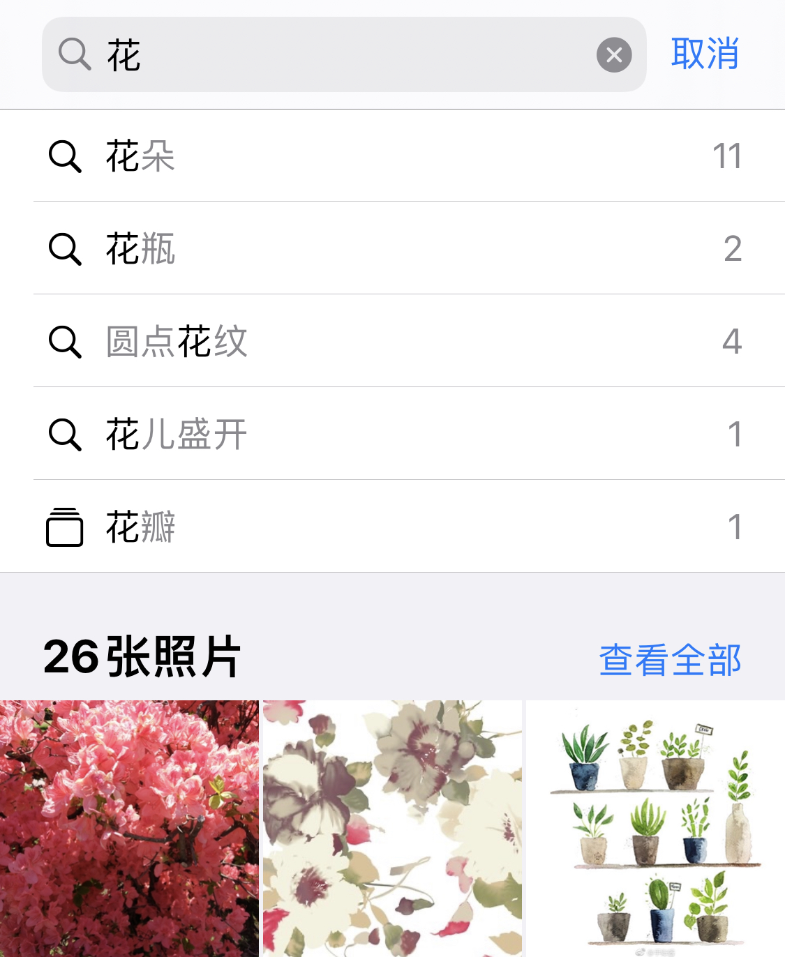 信州苹果手机维修分享iPhone 小技巧 