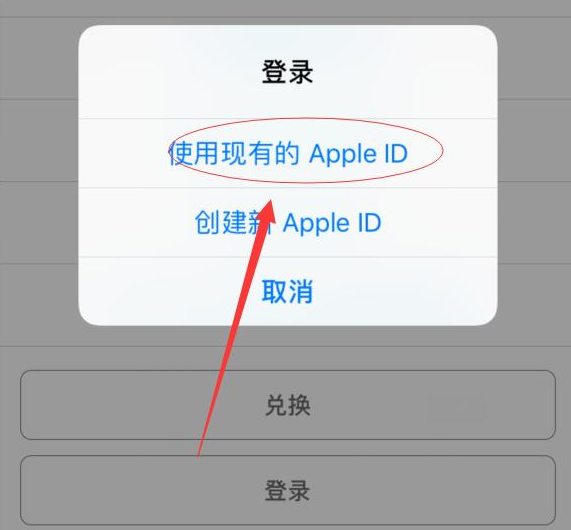 信州苹果手机维修分享两台iPhone设备可以同时登录一个Apple ID吗 