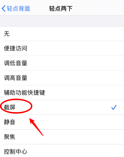 信州苹果手机维修分享iPhone12如何启用双击截屏 