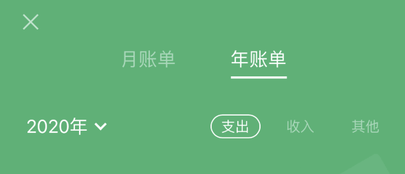 信州苹果手机维修分享如何在 iPhone 上查看支付宝和微信年支出账单 