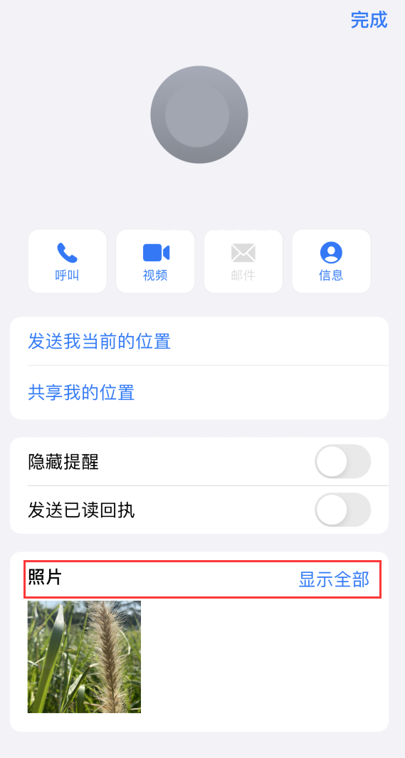 信州苹果手机维修分享如何快速查找 iMessage 信息中的图片等附件 