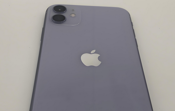 信州苹果11系统维修分享iPhone11手机系统崩溃无法开机如何解决